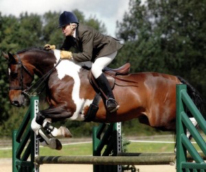 Equine Insurance